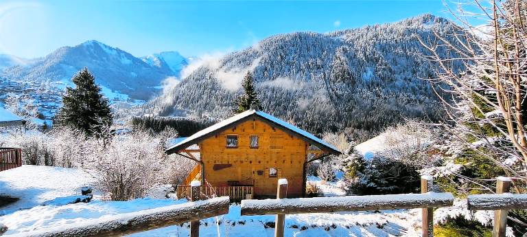 Chalet Châtel