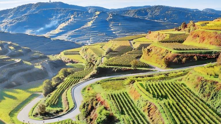 Ferienwohnung Kaiserstuhl