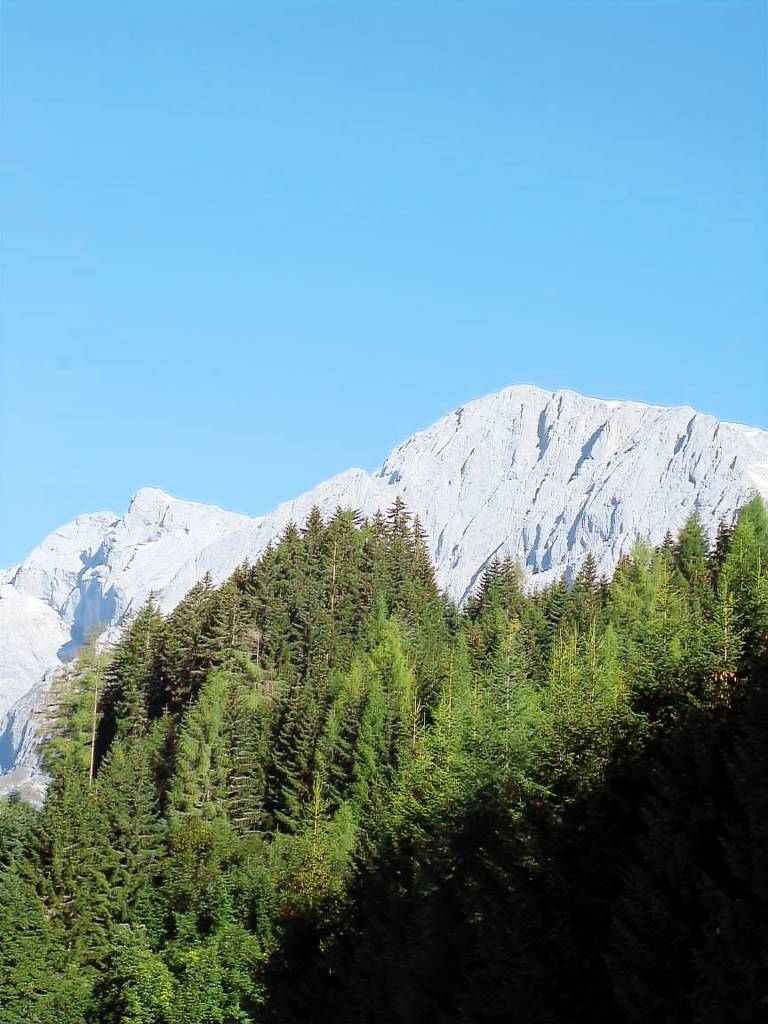 Ferienwohnung Mühlbach am Hochkönig