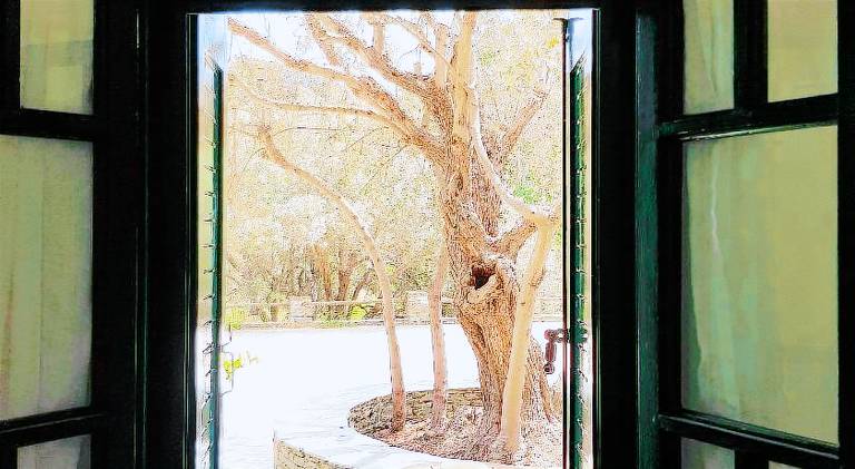Andromeda Sifnos — photo 3