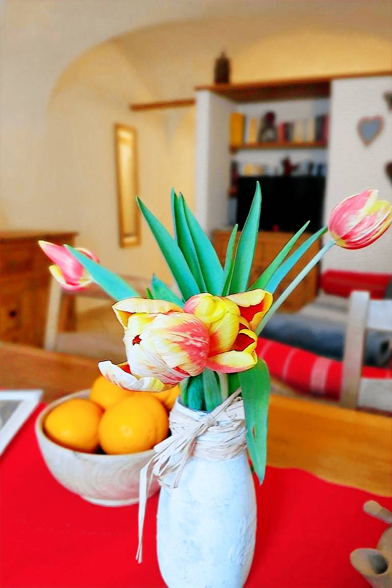 Holiday apartment with pool, sauna & yard — photo 4