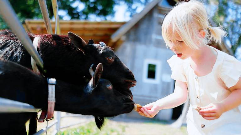 Ferienwohnung Gunzenhausen