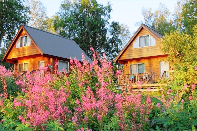 Cabin Talkeetna