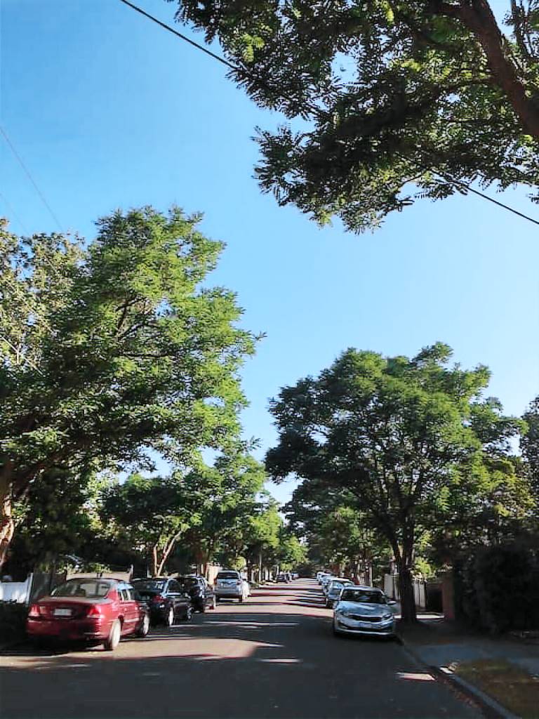 Apartment Caulfield South