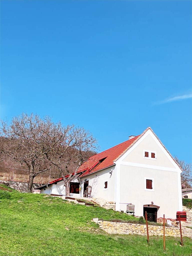 Apartment Szentantalfa