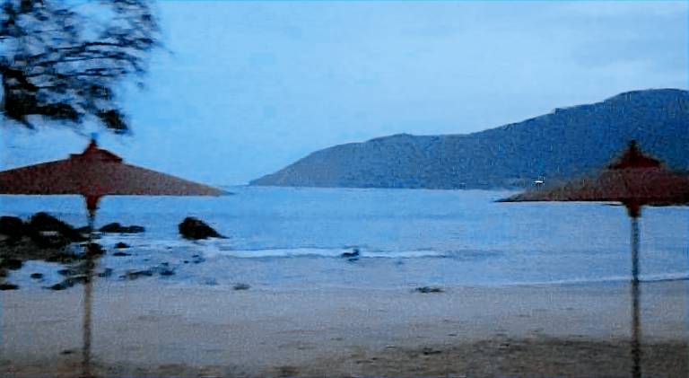 Nice rental apartment | Close to the beach | Dogs allowed — photo 5