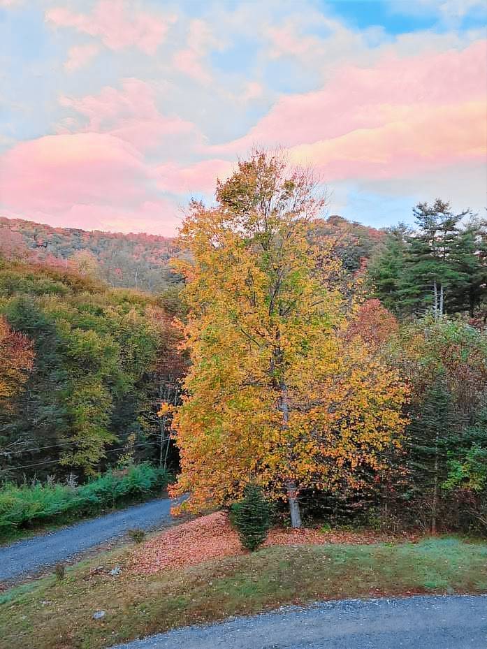 Pine Creek Cabin - Quaint cabin in the heart of Blowing Rock with a hot tub! Ample privacy! — photo 4