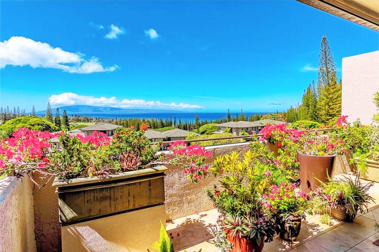 Condo  Kapalua