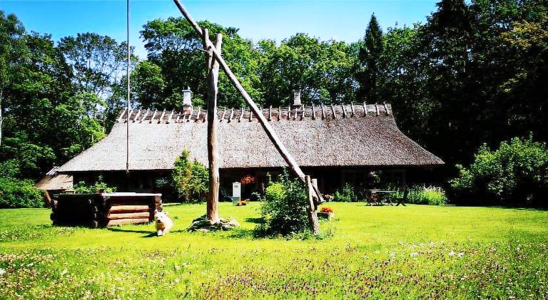 Kotka Farm