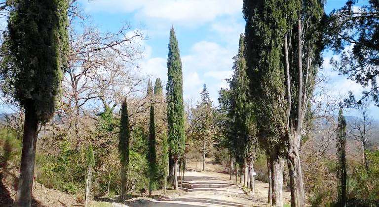 Vacation home with hot tub in Castelnuovo Berardenga