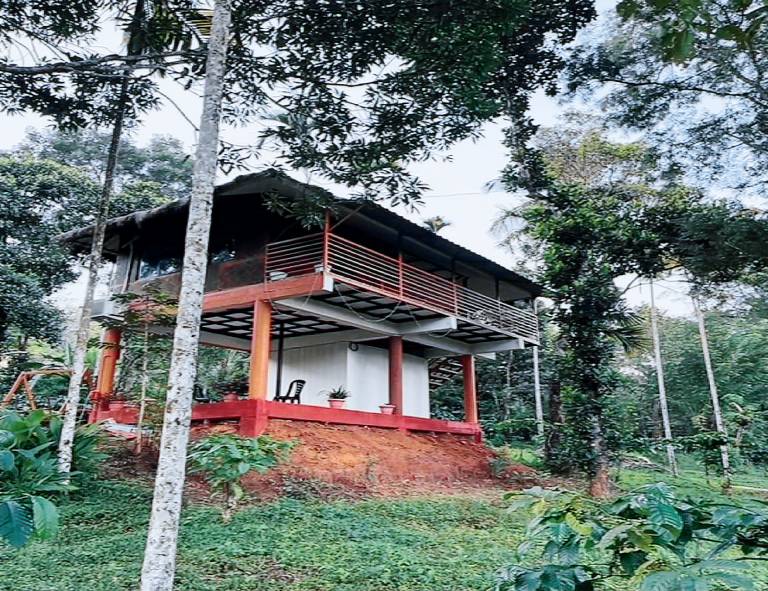 Bed and breakfast Kuruvadweep