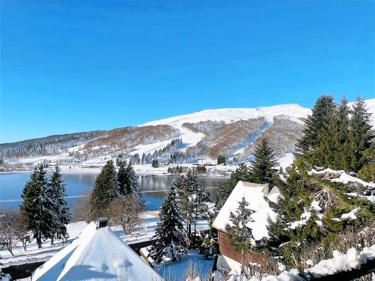 Chalet Besse-et-Saint-Anastaise