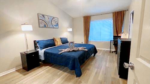 House New Tampa