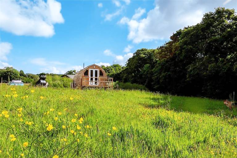 Cabin  Bexhill