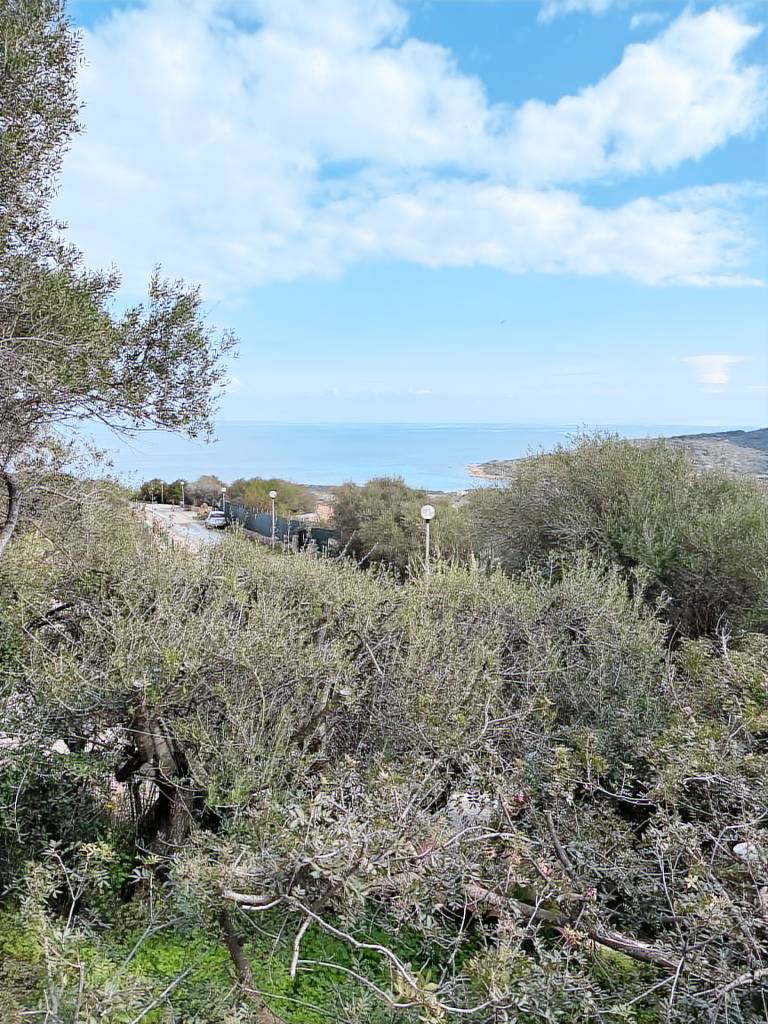 Villa with grill, terrace & garden | Nature view — photo 2