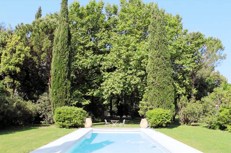 Le petit oiseau (2p) with pool in Chateaurenard — photo 4