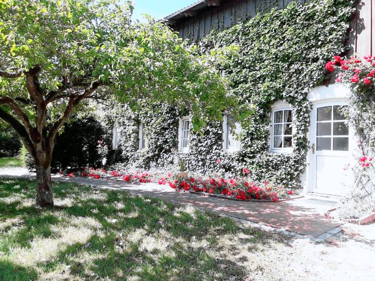 50 m² Ferienwohnung