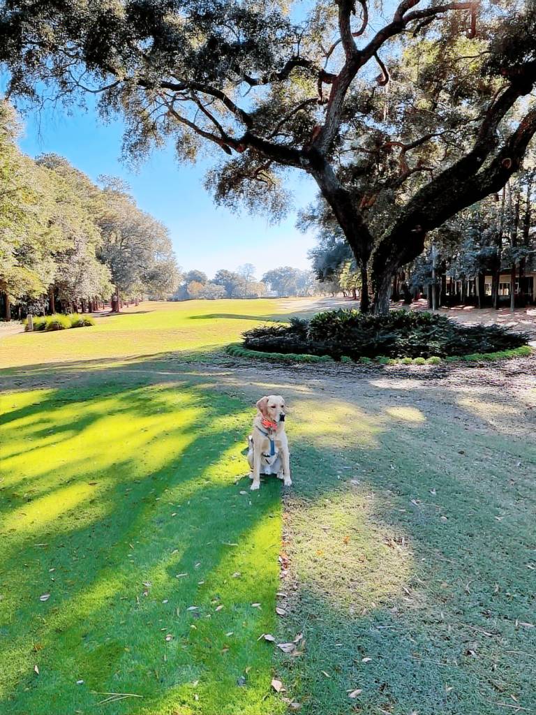Condo  Pawleys Island