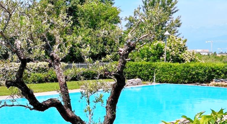 Rental apartment with yard & pool | Dogs allowed — photo 3
