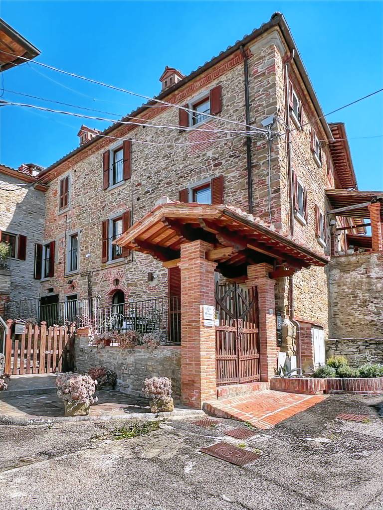 foto2