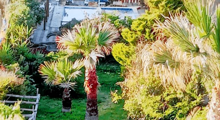 Charming house with pool | Beach nearby | Pet-friendly — photo 2