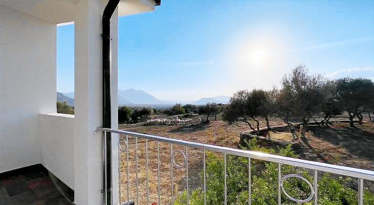 Farm with patio & garden — photo 4
