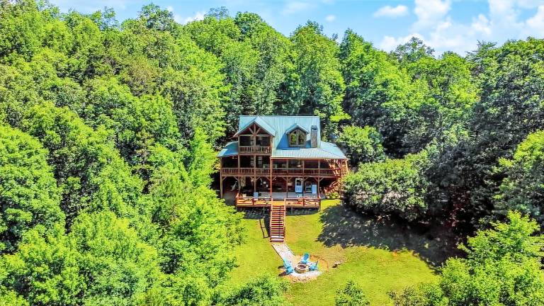 Cabin  Mineral Bluff