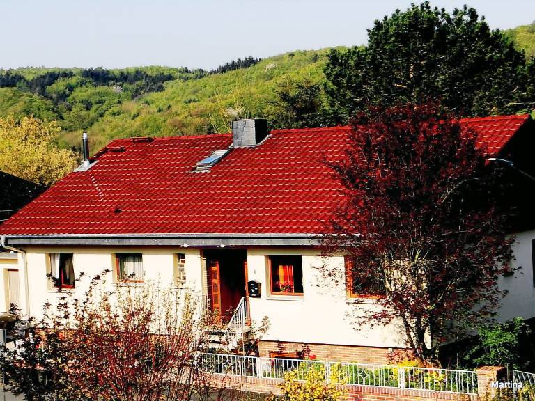 Ferienwohnung  Braunfels