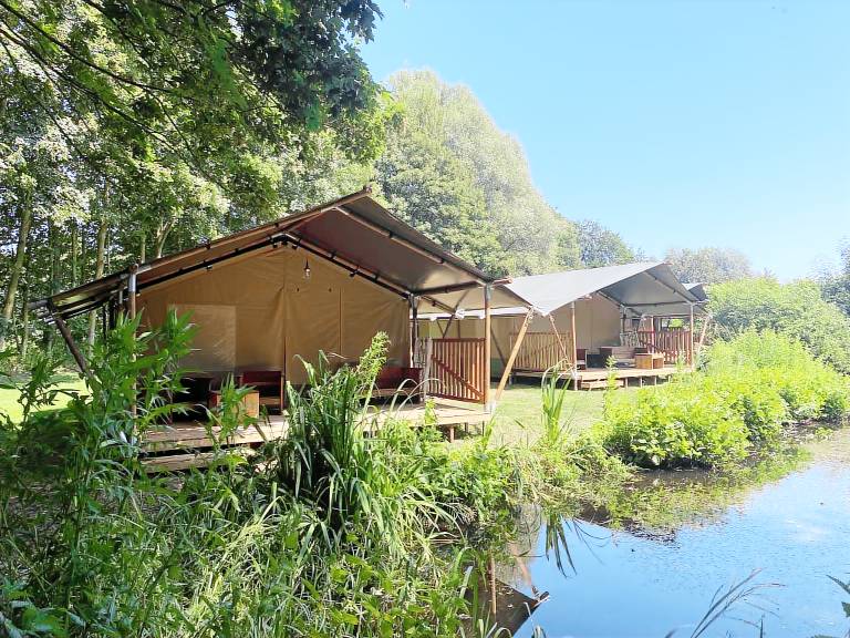 Luxe safaritent voor 4 personen met prachtig uitzicht huisdieren toegestaan