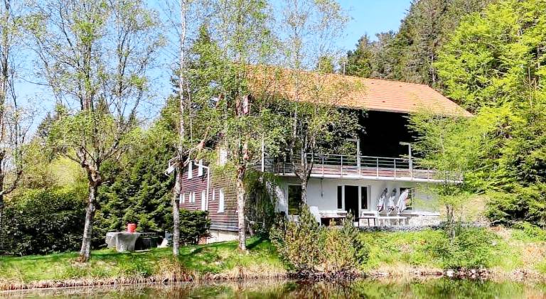 Dedicated room with barbeque, garden & terrace | Pets allowed in Gérardmer