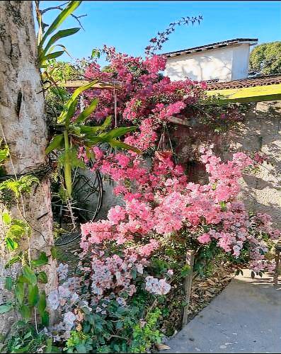 Pousada (B&B) Barramares