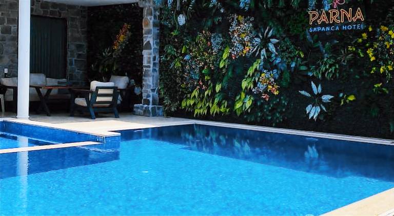 Villa with pool — photo 3