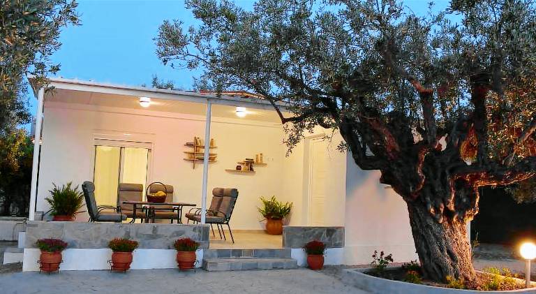 Villa with patio, private pool & grill — photo 4