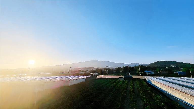Jeju Oasis Recreation Pension — photo 3