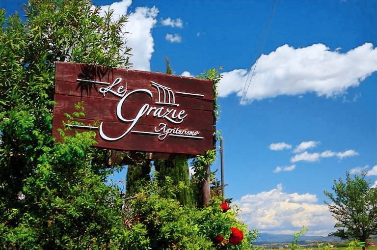 Le Grazie: Olivo — photo 3