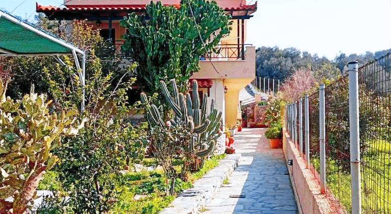 Beautiful house with yard, BBQ & terrace | Suitable for remote work | Dogs allowed in Samos