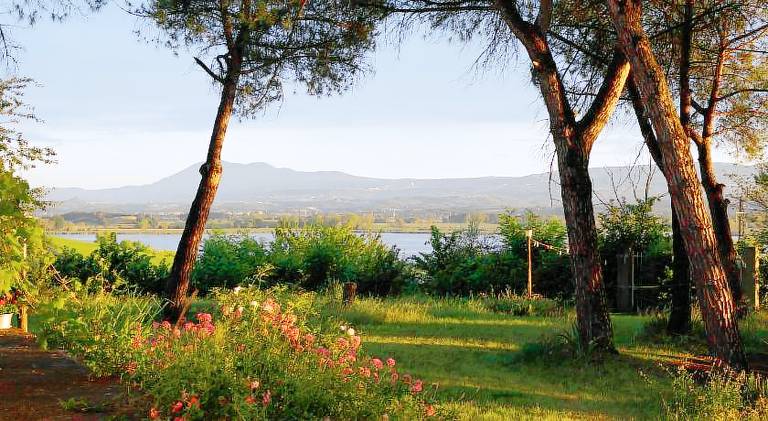 House with BBQ, yard & terrace in Castiglione del Lago