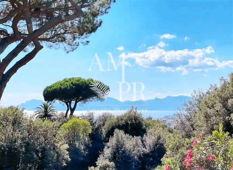 Villa  Cannes