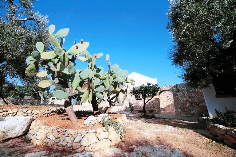 Privatzimmer Torre Vado