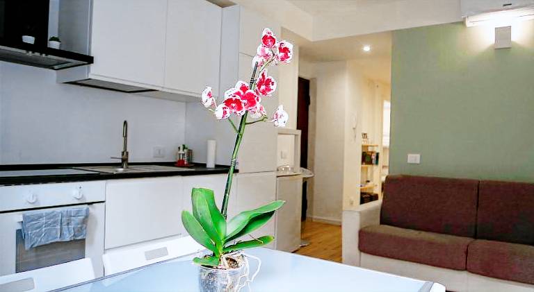 Apartment with yard & patio | Suitable for remote work in Milan, OH