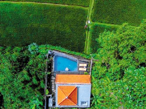 Lodge Tegallalang