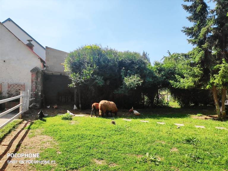 Pension La Couture-Boussey