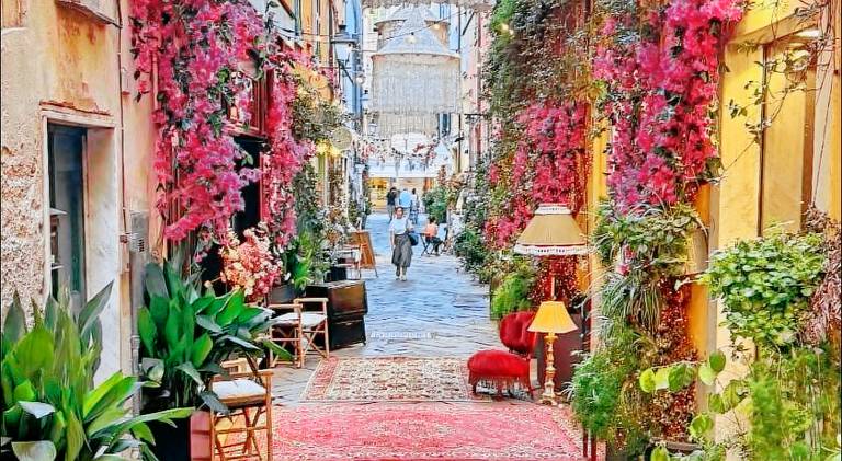 Beautiful rental apartment | Dogs allowed in Sarzana