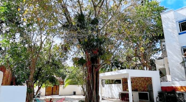 Nice serviced apartment with yard, private pool & patio | Suitable for remote work | Dogs allowed — photo 3