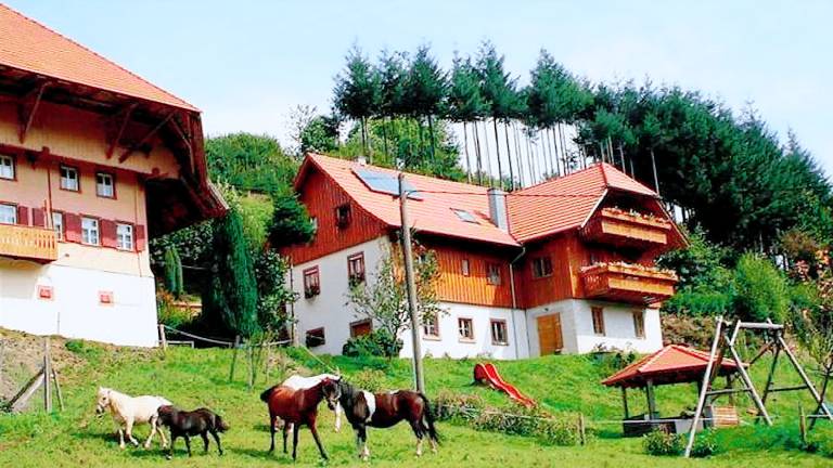 Ferienwohnung Schuttertal