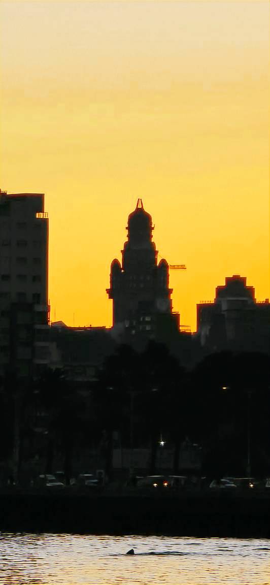 Apartment  Ciudad Vieja