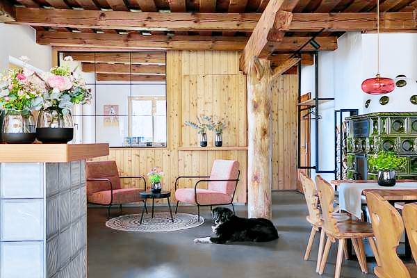 Holiday apartment with sauna, garden & terrace | Dogs allowed — photo 3