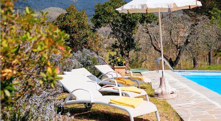 Lovely villa with pool | Dogs allowed — photo 3