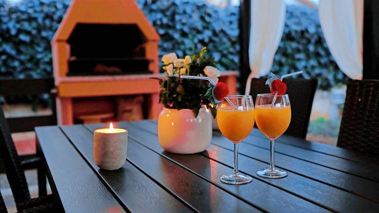 Villa with barbecue, garden & terrace — photo 4