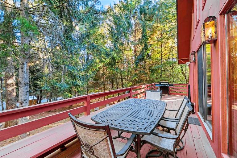 Poconos Speakeasy Hot Tub Dog-Friendly Near Ski — photo 5